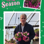 It's Time to Order Your Colleen Pink Christmas Cactus