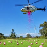 2026 Pink Golf Ball Drop Fundraiser Set for September 13